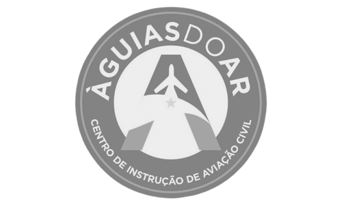 Logo Águias do Ar - cliente MFSim