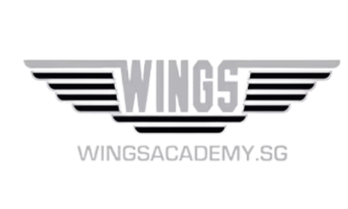 Logo Wings Academy - cliente MFSim