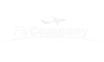 Logo Fly Company - cliente MFSim